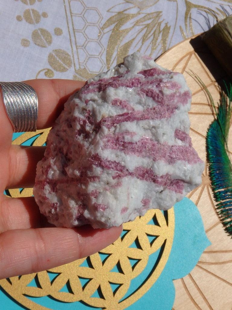 Large & Raw Pink Tourmaline Inclusions In Milky Quartz Matrix - Earth Family Crystals