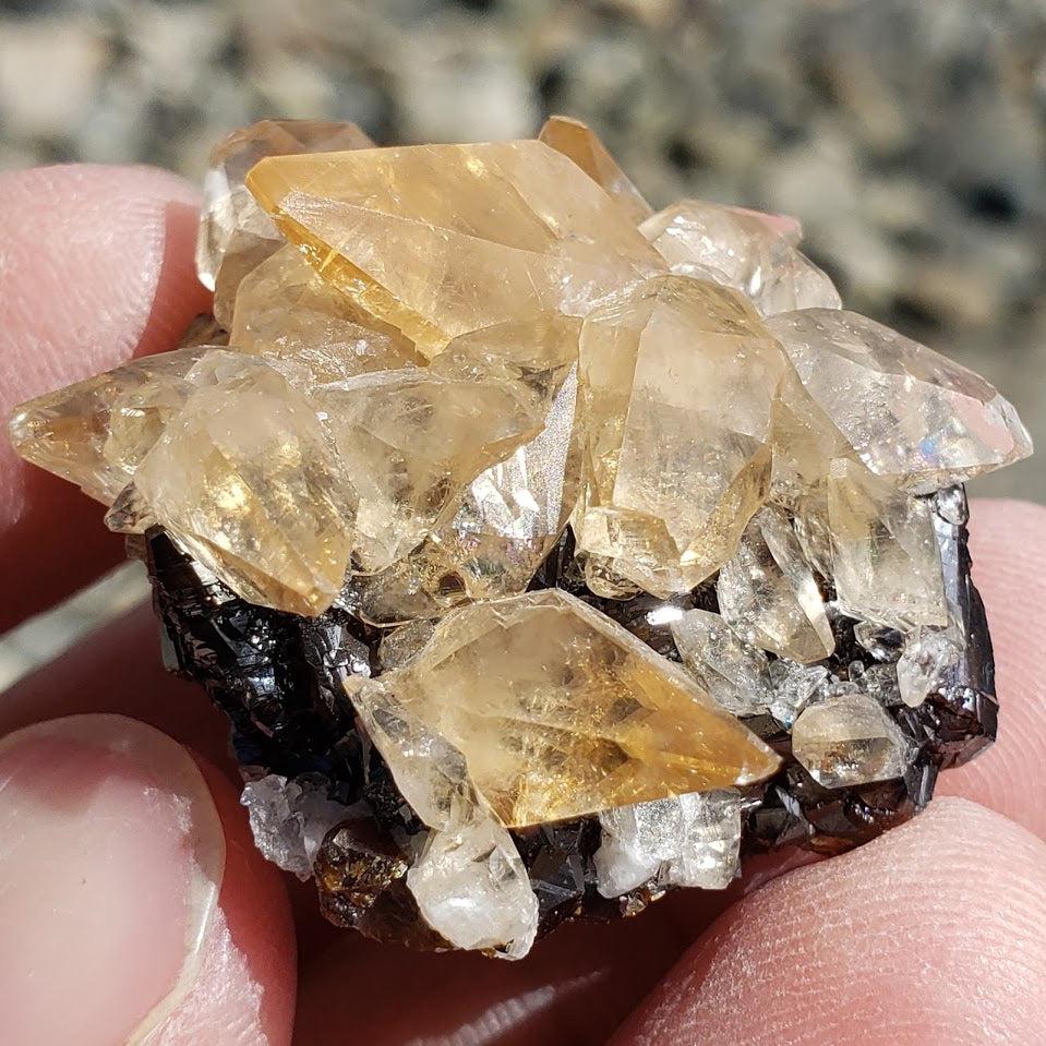 Famous Locality~Elmwood Mine Golden Stellar Beam Calcite Points nestled in Sphalerite Matrix - Earth Family Crystals