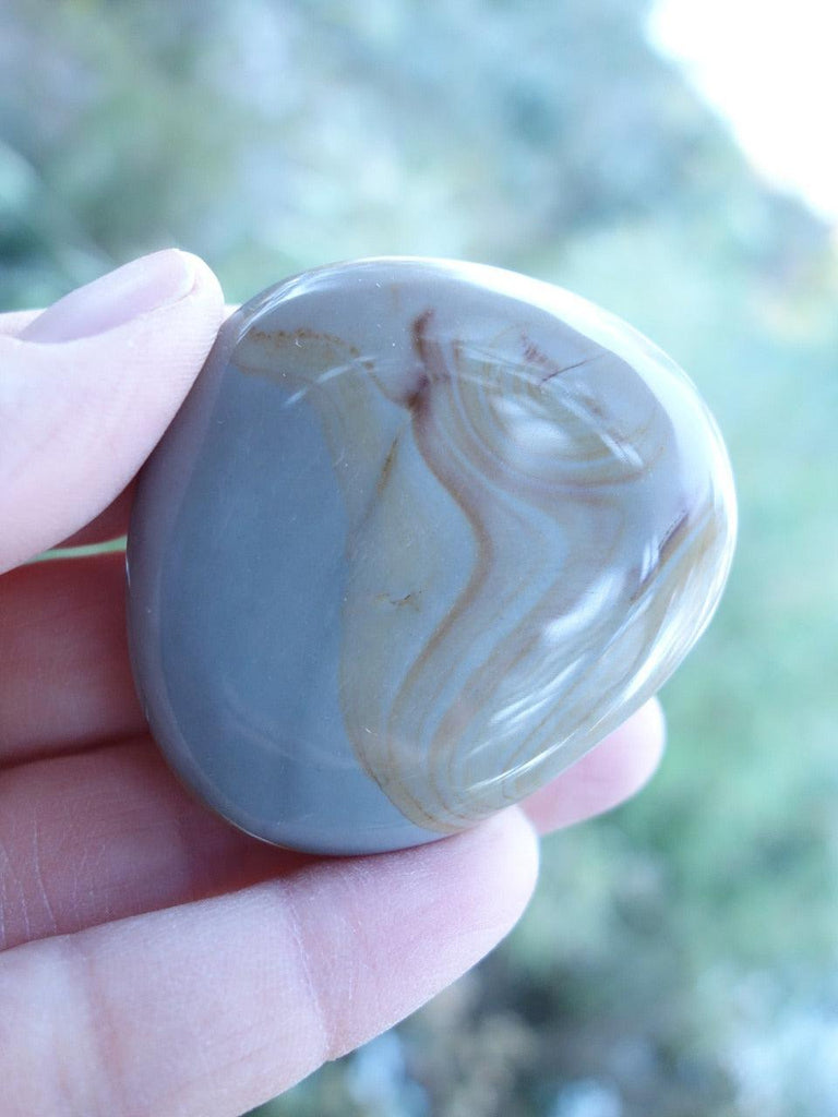 Sweet Swirls of Color Polychrome Jasper Palm Stone - Earth Family Crystals