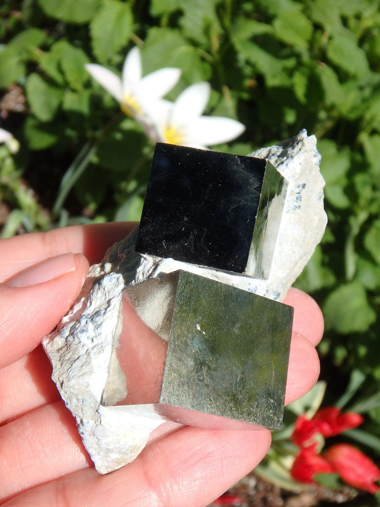 Completely Natural Double Cubic Pyrite in Matrix From Spain - Earth Family Crystals