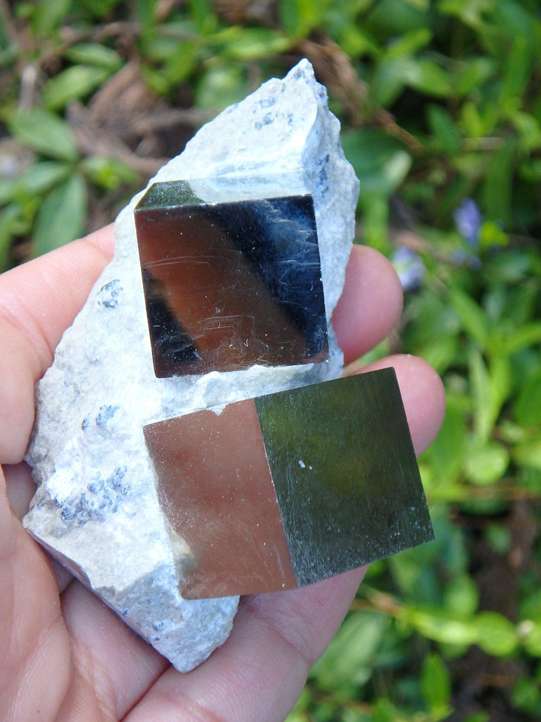 Completely Natural Double Cubic Pyrite in Matrix From Spain - Earth Family Crystals