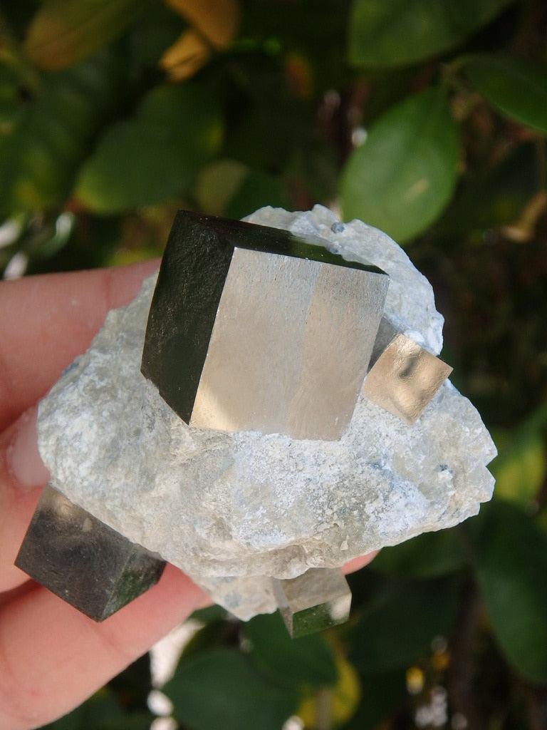 Unbelievably Natural Cubic Pyrites In Matrix From Spain - Earth Family Crystals