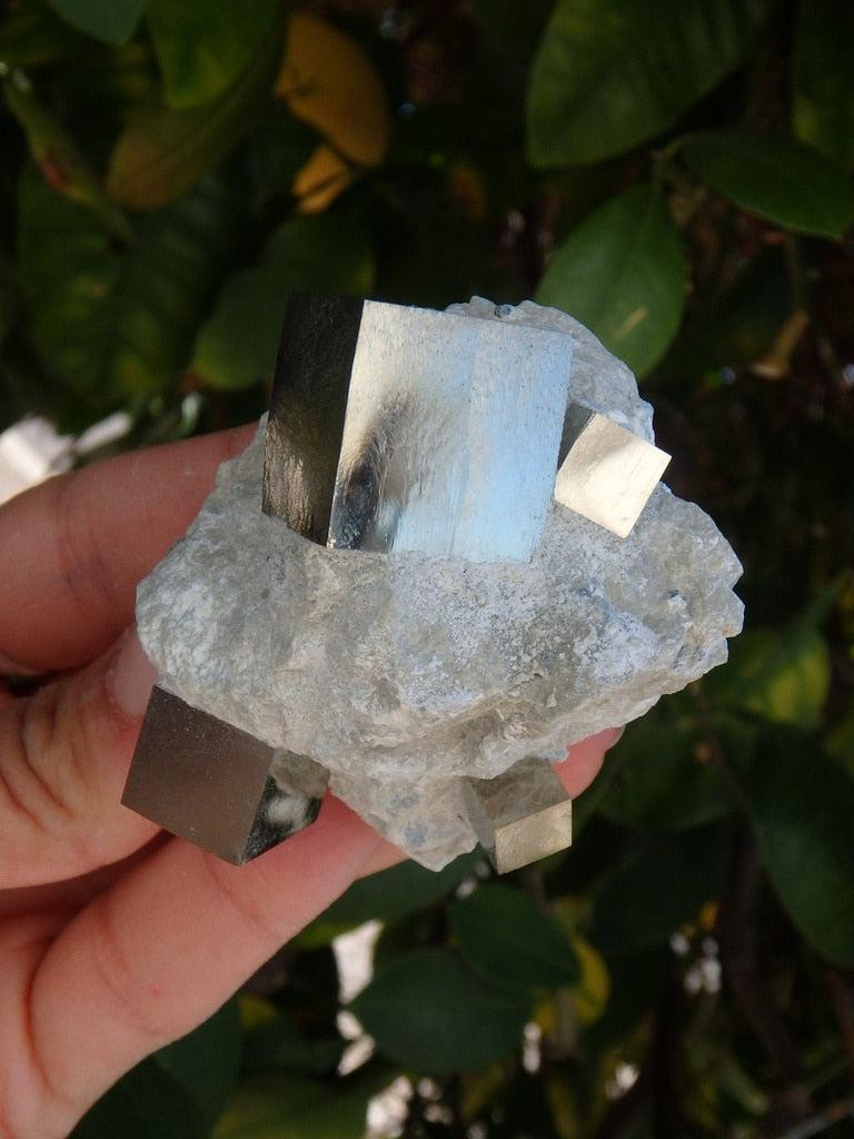 Unbelievably Natural Cubic Pyrites In Matrix From Spain - Earth Family Crystals