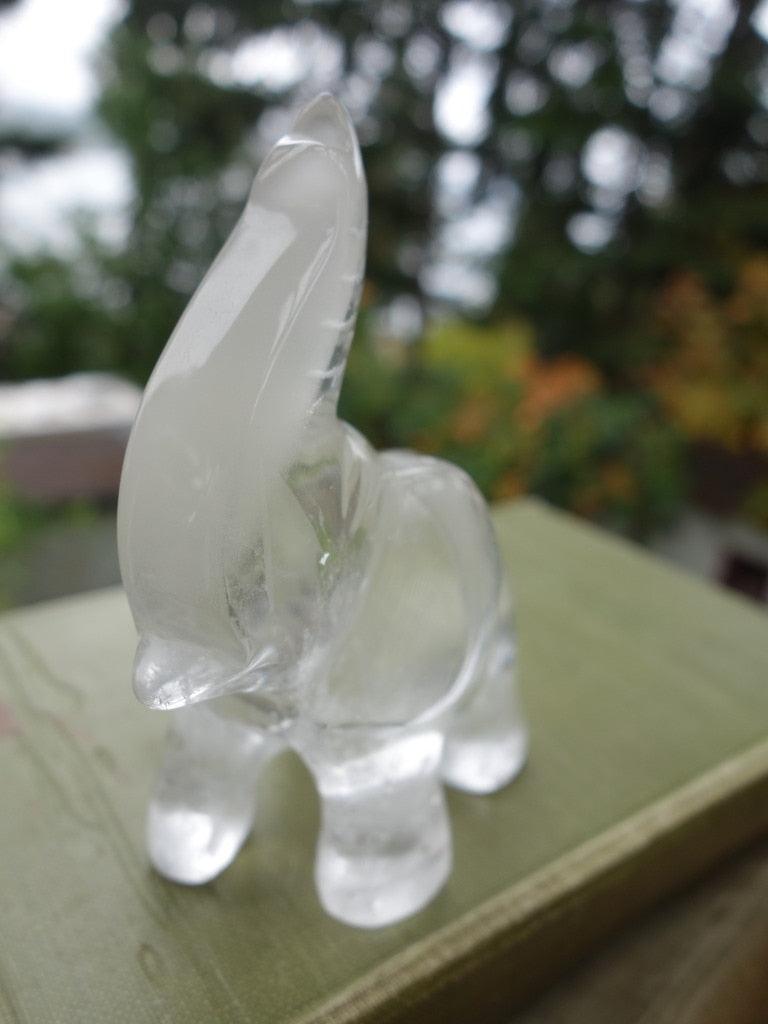 MR. Personality Clear Quartz Elephant Carving - Earth Family Crystals