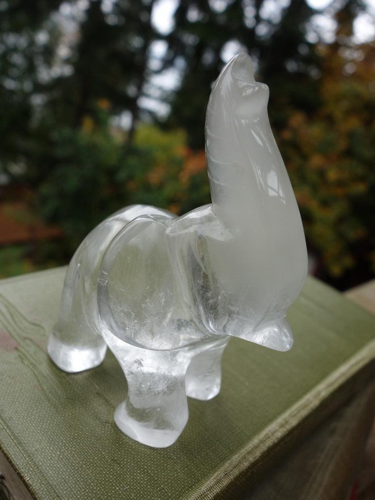 MR. Personality Clear Quartz Elephant Carving - Earth Family Crystals