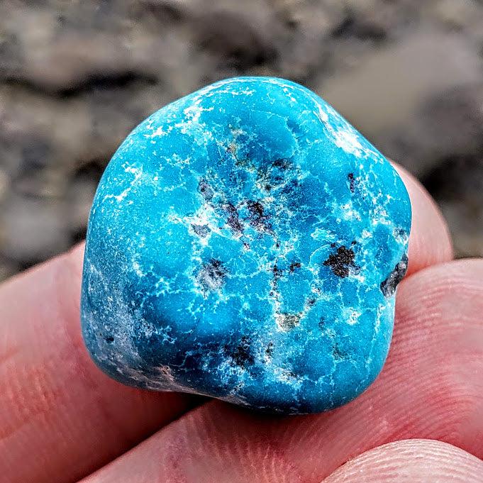 Rare Raw Vibrant Kingman Arizona Genuine Turquoise Specimen #2 - Earth Family Crystals