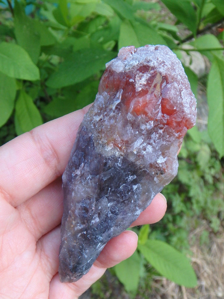 Fabulous Deep Red Amethyst Point From Brazil 1 - Earth Family Crystals