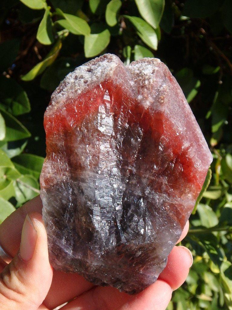 Amazing Large Red Amethyst Twin Peak Natural Specimen From Brazil - Earth Family Crystals