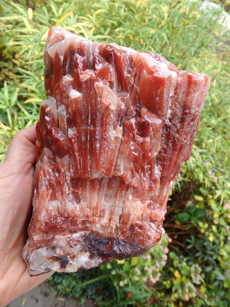 XXL Hefty Red Calcite Display Specimen From Mexico - Earth Family Crystals