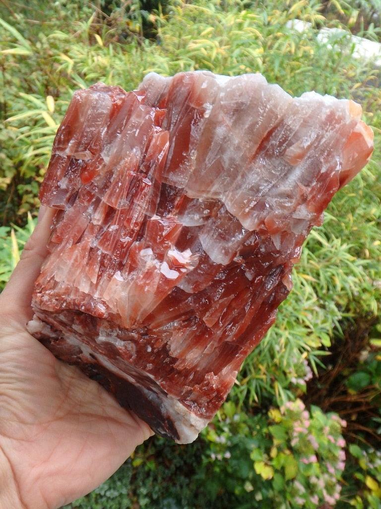 XXL Hefty Red Calcite Display Specimen From Mexico - Earth Family Crystals