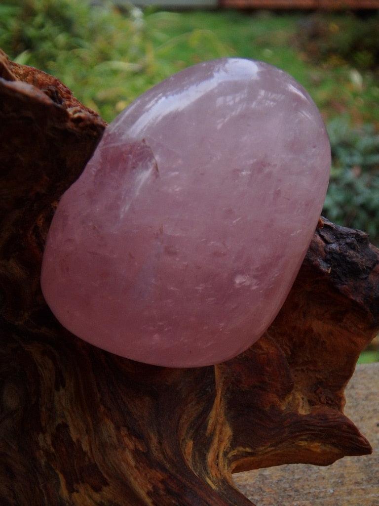 Precious Smooth & Soothing Rose Quartz Palm Stone - Earth Family Crystals
