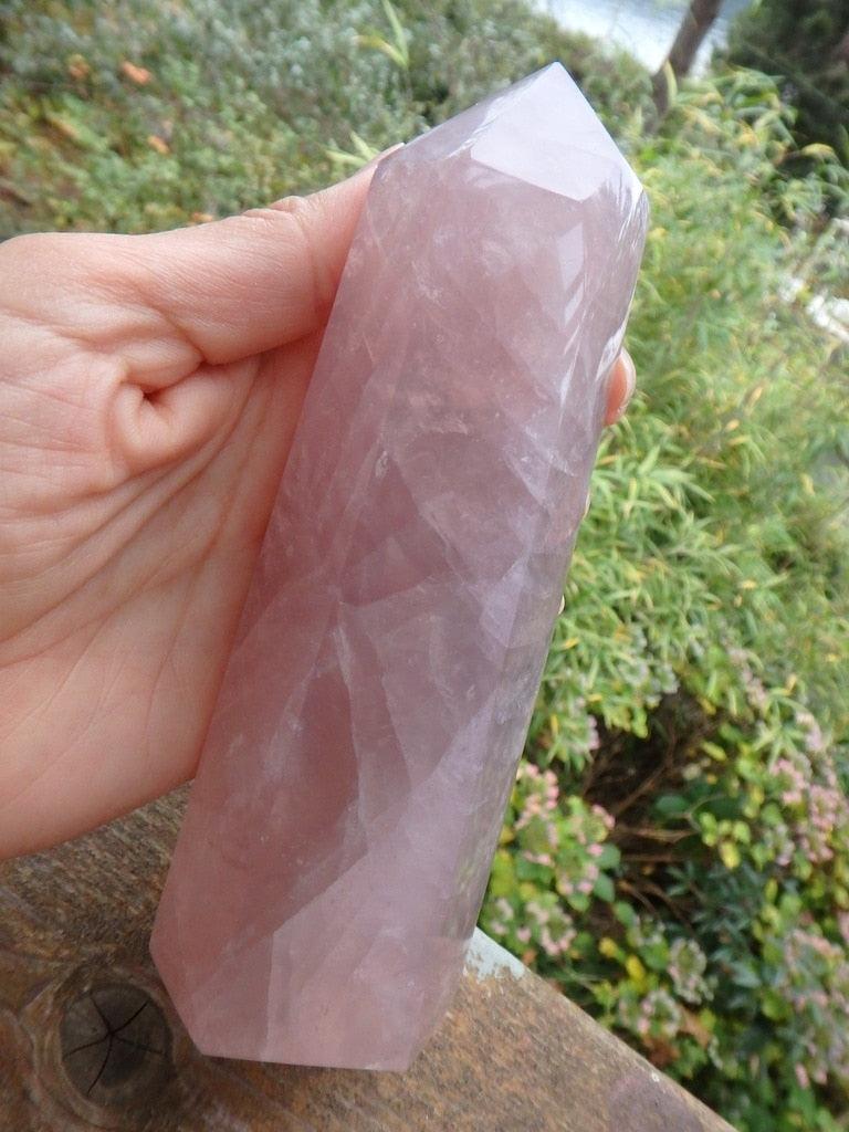 Stunning Large Pink Rose Quartz Polished Tower - Earth Family Crystals