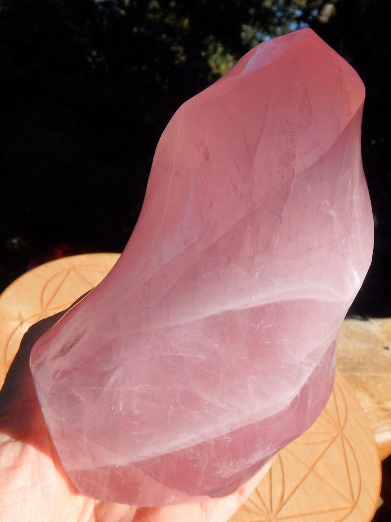 Incredible Candy Pink XL Rose Quartz Flame Carving Display Specimen - Earth Family Crystals
