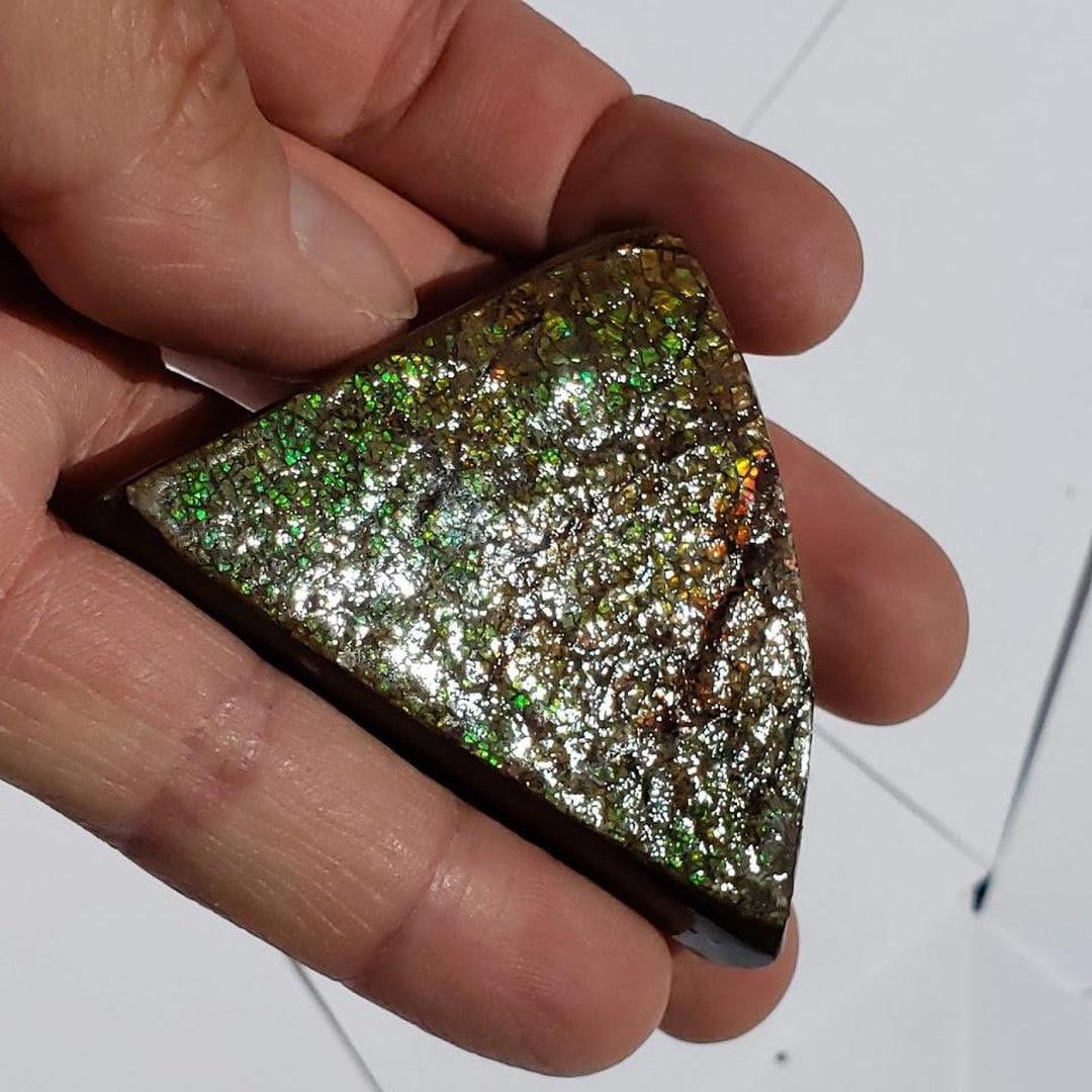 Chunky Alberta Ammolite Fossil Free Form Hand Held Specimen #5 - Earth Family Crystals