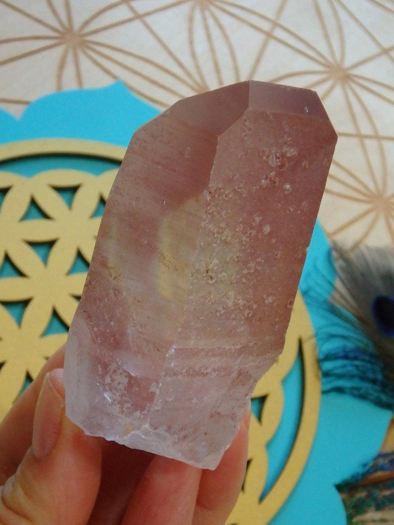 High Vibration! Beautiful Scarlet Temple (Strawberry) Lemurian Point From Brazil - Earth Family Crystals