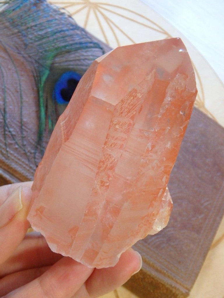 Stunning Scarlet Temple (Strawberry) Lemurian With Attached Babies Specimen From Brazil - Earth Family Crystals