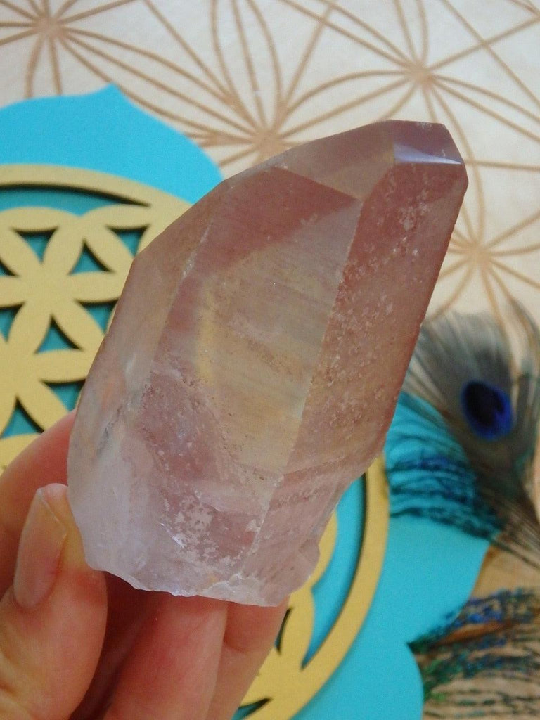 High Vibration! Beautiful Scarlet Temple (Strawberry) Lemurian Point From Brazil - Earth Family Crystals