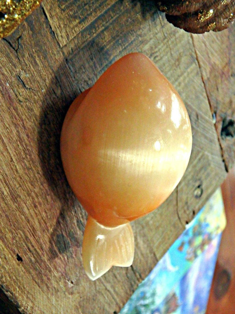 Orange Selenite Whale Carving Specimen - Earth Family Crystals