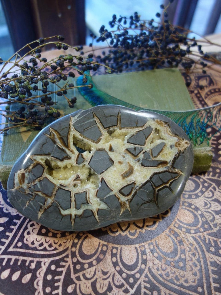 Utah Septarian Display Slice With Yellow Druzy Calcite Caves (One Side Polished) - Earth Family Crystals