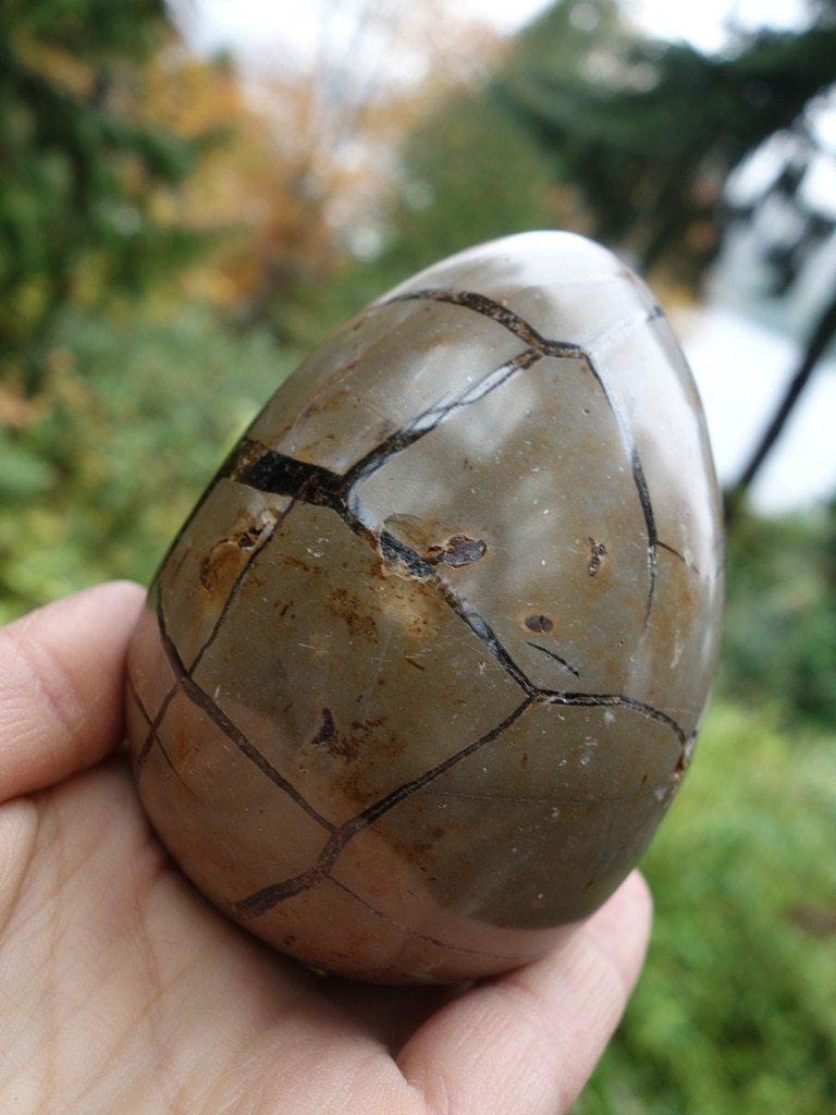 Cool Brown Druzy Filled Large  Septarian Dragon Egg Carving From Madagascar - Earth Family Crystals