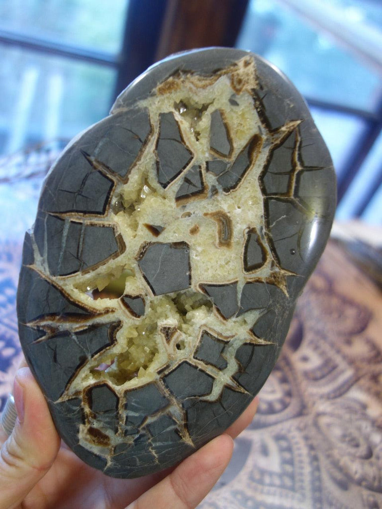 Utah Septarian Display Slice With Yellow Druzy Calcite Caves (One Side Polished) - Earth Family Crystals