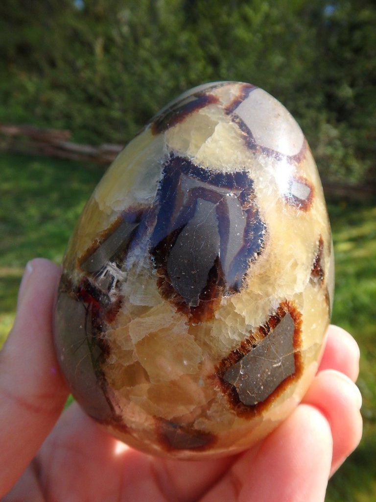 Amazing Large Septarian Egg Carving - Earth Family Crystals