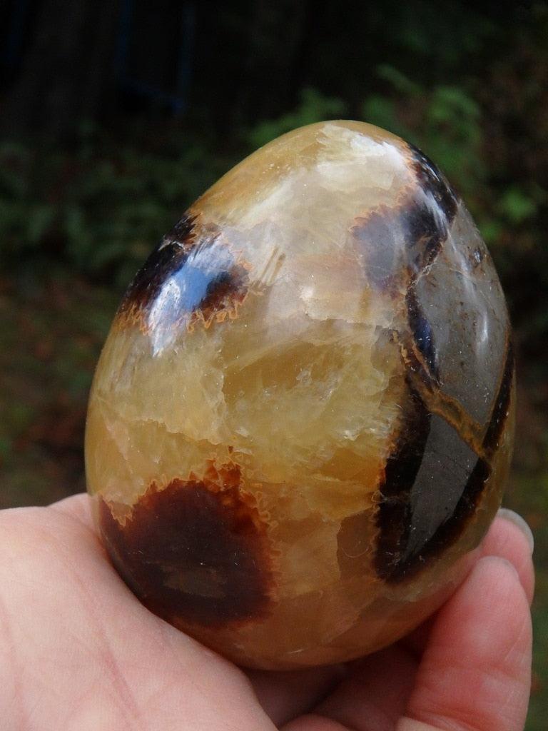 Gorgeous Golden Large Septarian Egg Carving - Earth Family Crystals