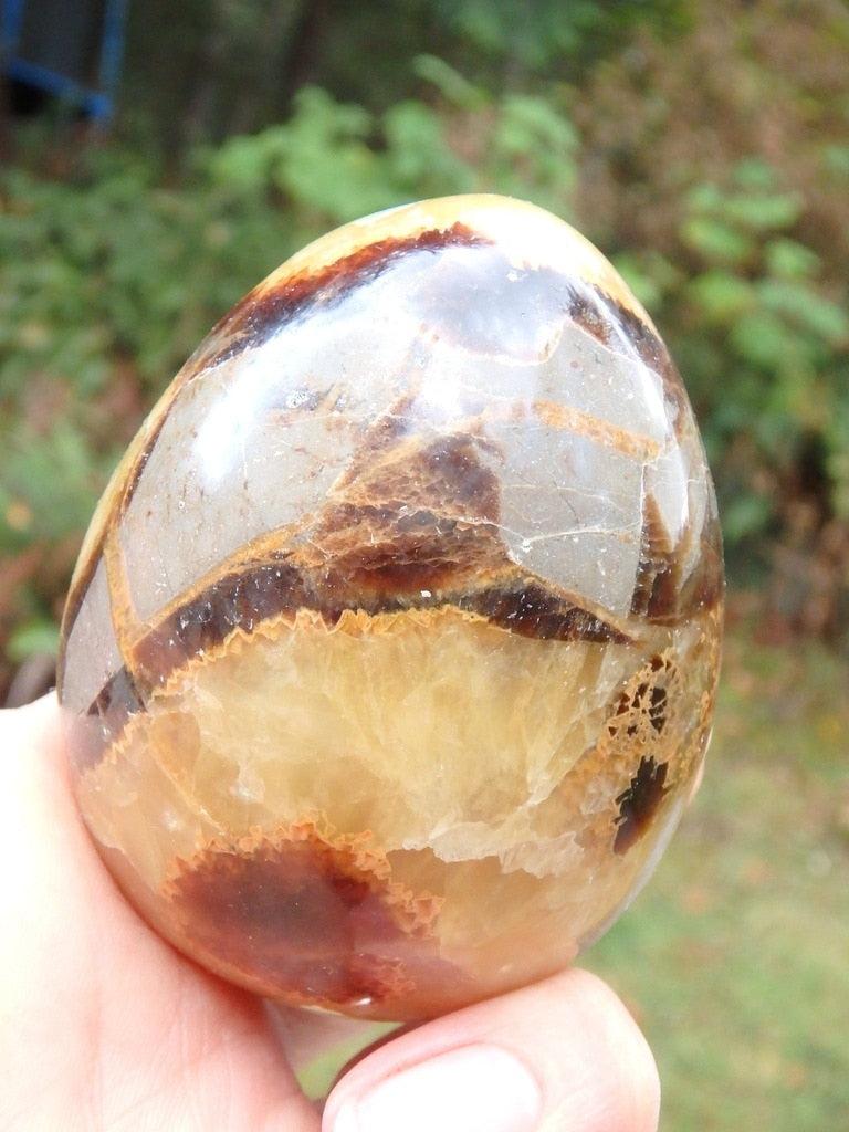 Gorgeous Golden Large Septarian Egg Carving - Earth Family Crystals