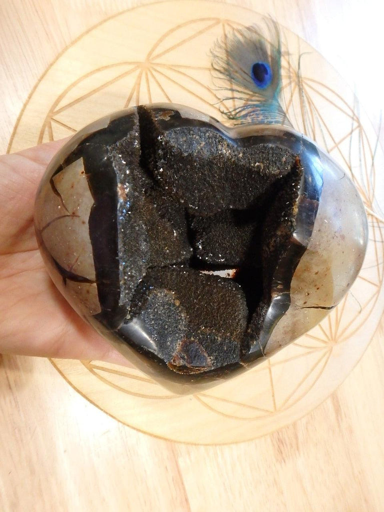 XL Deep Geode Cave Septarian Dragon Heart Specimen - Earth Family Crystals