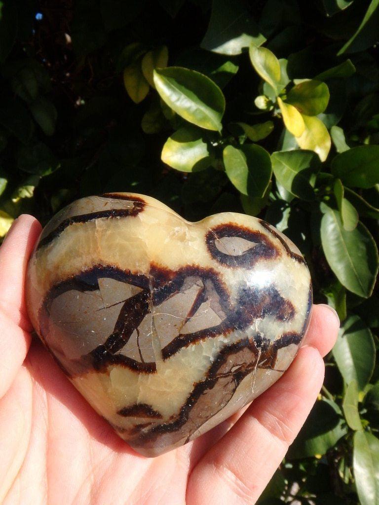 Ancient Vibes Septarian Gemstone Heart - Earth Family Crystals