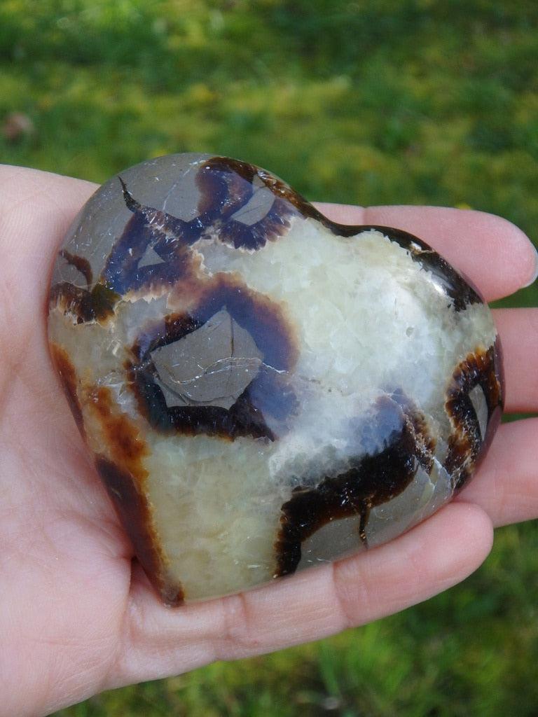 Lovely Patterns! Septarian Heart Carving - Earth Family Crystals