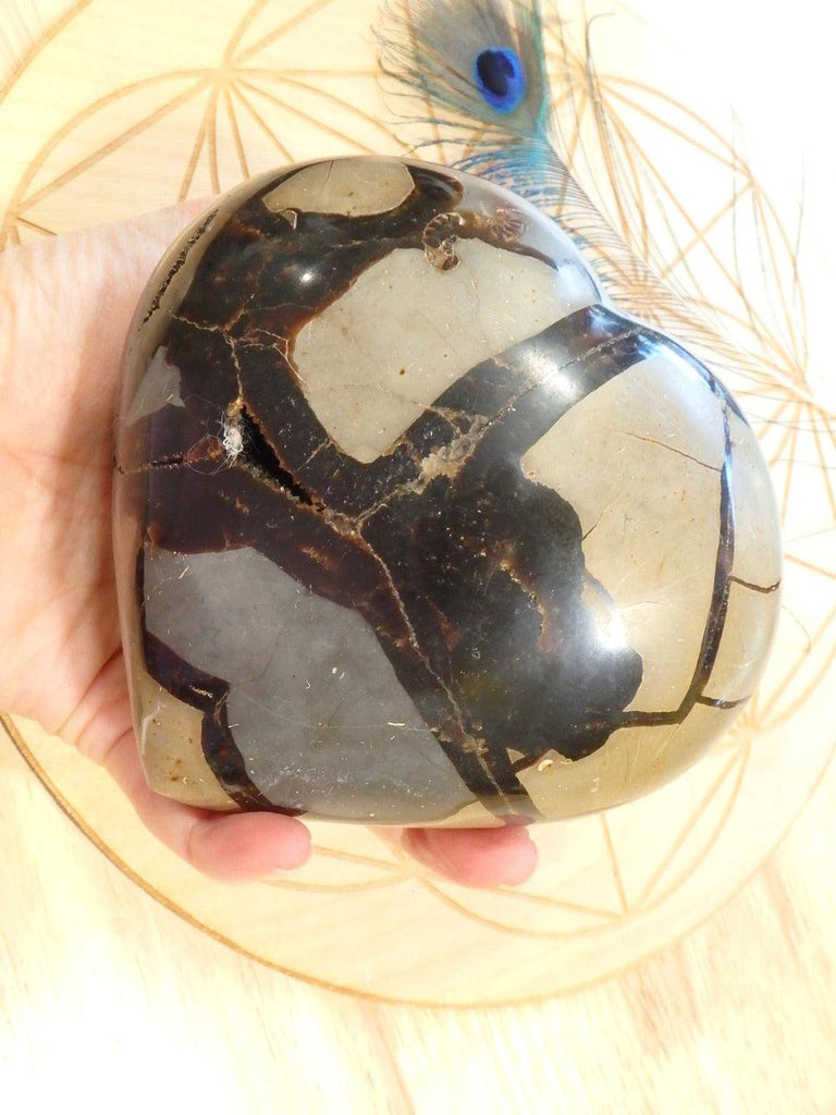 XL Deep Geode Cave Septarian Dragon Heart Specimen - Earth Family Crystals