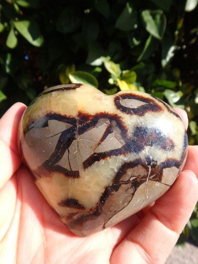 Ancient Vibes Septarian Gemstone Heart - Earth Family Crystals
