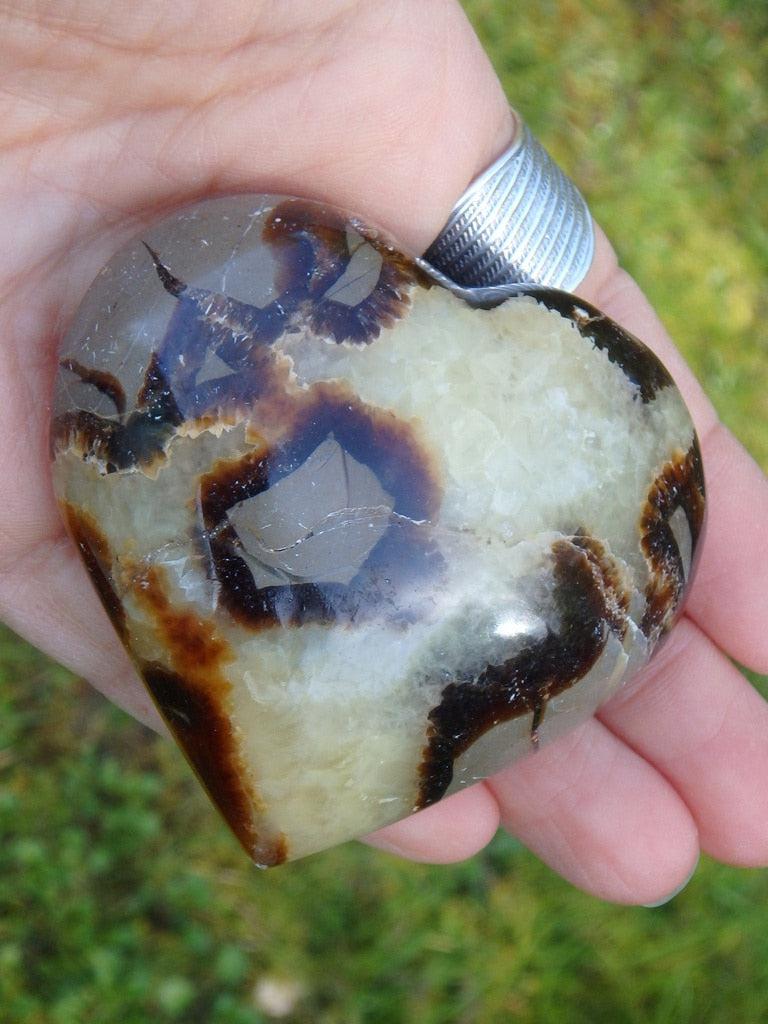 Lovely Patterns! Septarian Heart Carving - Earth Family Crystals