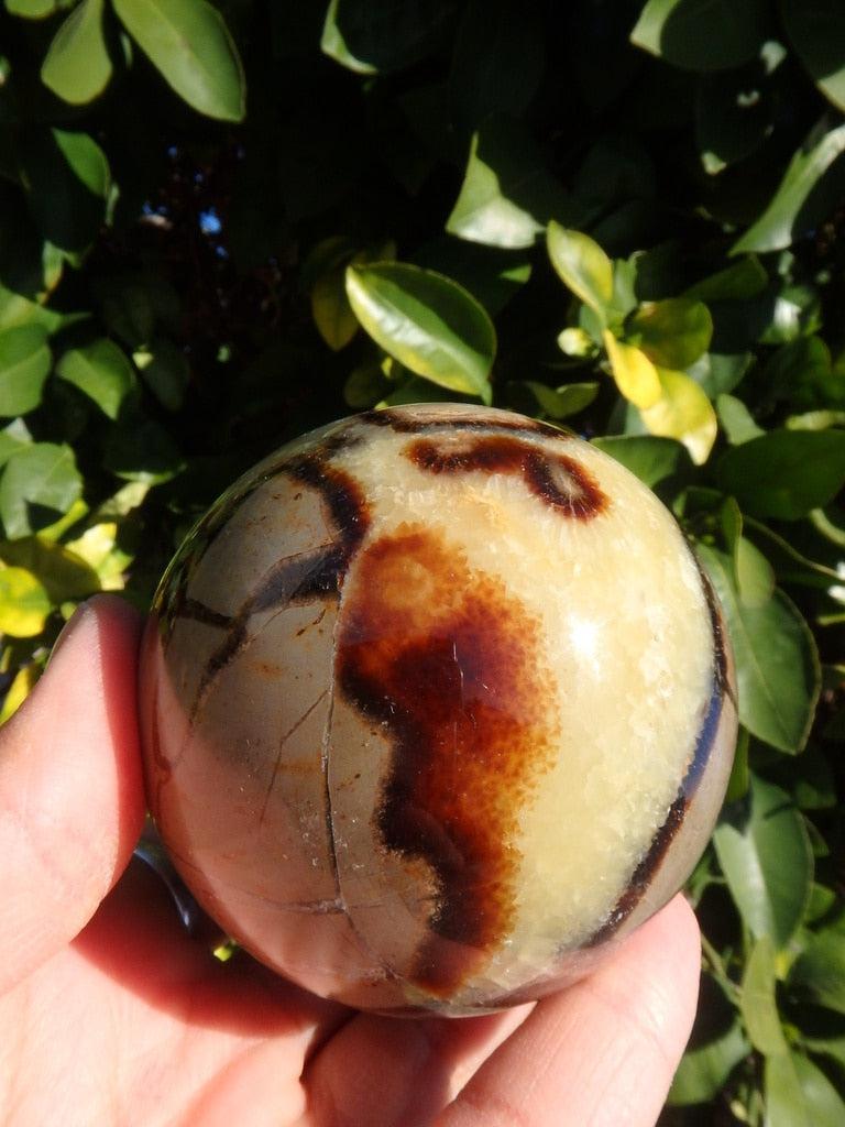 Large Septarian Dragon Sphere Carving - Earth Family Crystals