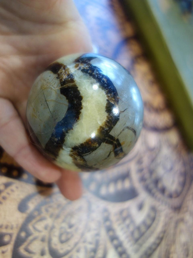 Stunning Patterns Septarian Dragon Sphere (REDUCED) - Earth Family Crystals