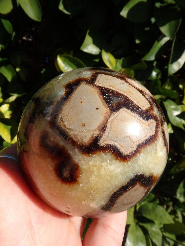 Large Septarian Dragon Sphere Carving - Earth Family Crystals