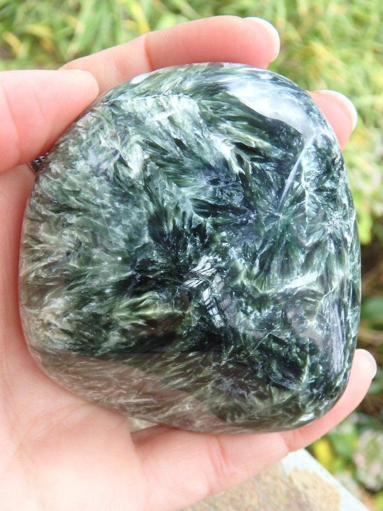 Incredible Large & Smooth Silvery Angel Wings Seraphinite Specimen - Earth Family Crystals