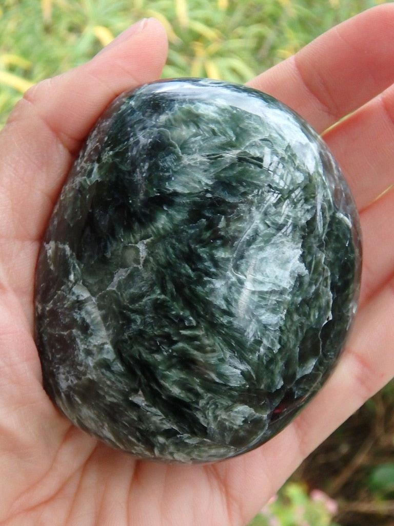 Incredible Large & Smooth Silvery Angel Wings Seraphinite Specimen - Earth Family Crystals