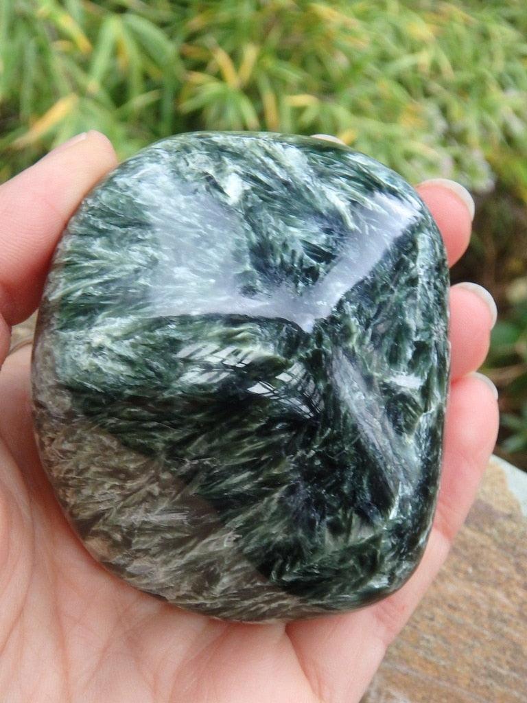 Incredible Large & Smooth Silvery Angel Wings Seraphinite Specimen - Earth Family Crystals