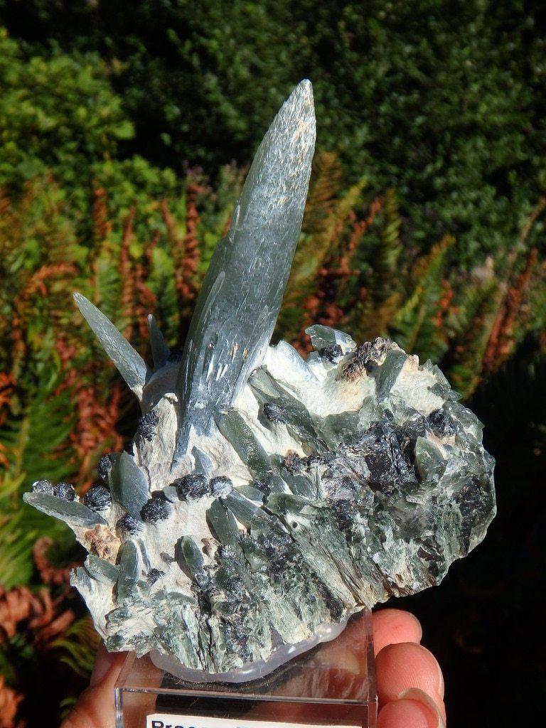 Collectors Specimen! Rare Intricate Seriphos Green Quartz Cluster With Hematite Inclusions  From Greece - Earth Family Crystals