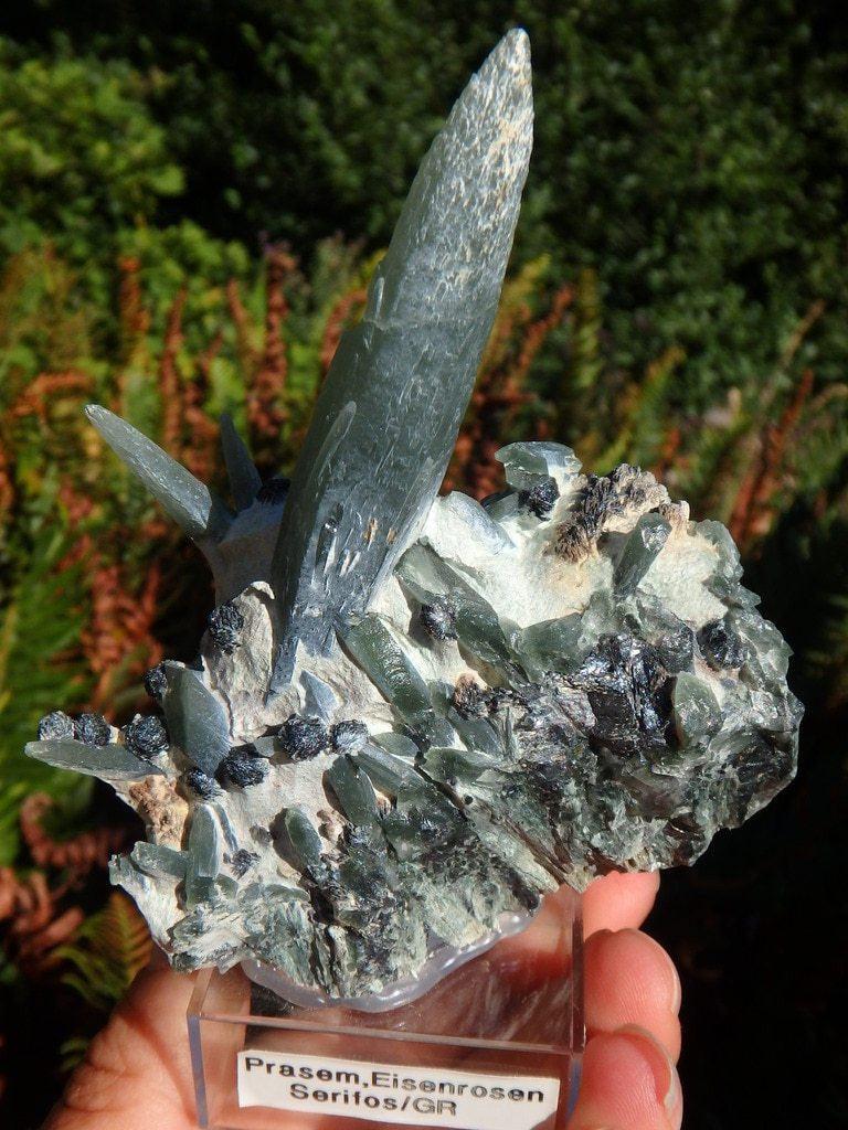 Collectors Specimen! Rare Intricate Seriphos Green Quartz Cluster With Hematite Inclusions  From Greece - Earth Family Crystals