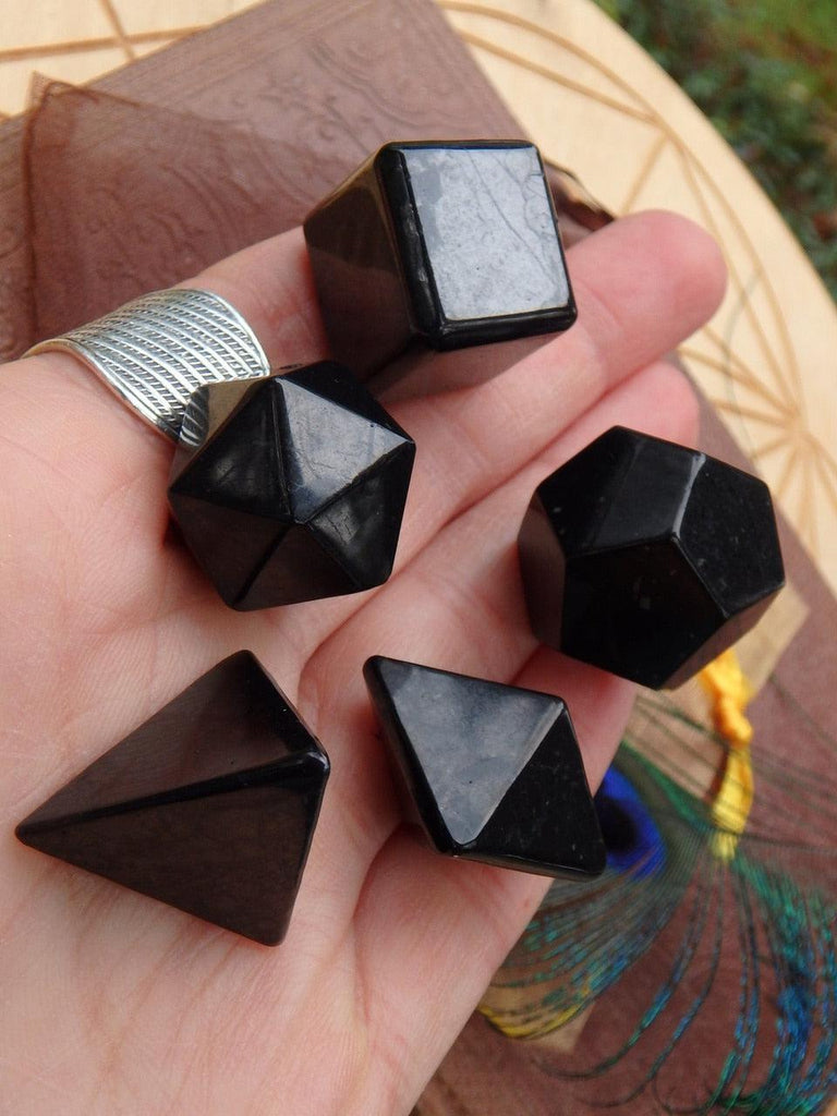 EMF Protection~ Shungite Sacred Geometry Shape Set (Includes Tetrahedron, Hexahedron, Octahedron, Icosahedron, Dodecahedron) - Earth Family Crystals