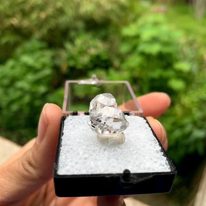 Brilliant Clarity New York Herkimer Diamond Quartz Specimen in Collectors Box #3 - Earth Family Crystals