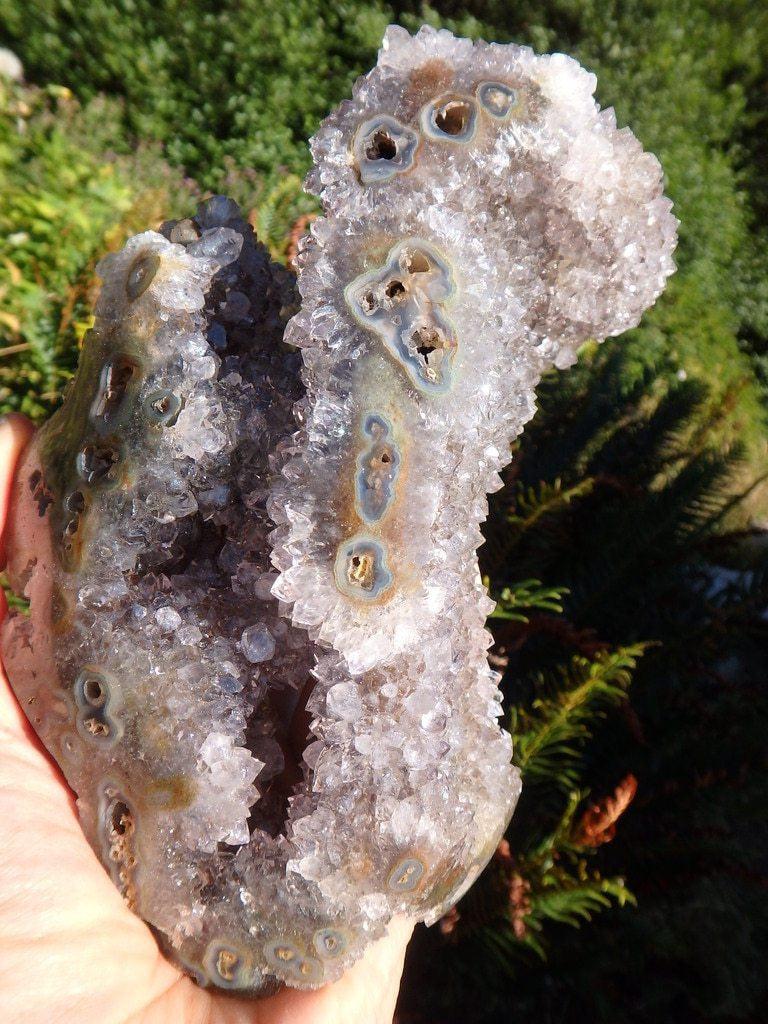 Amazing One-of-a-Kind Beauty! Smoky Amethyst Free-Form Geode Specimen - Earth Family Crystals