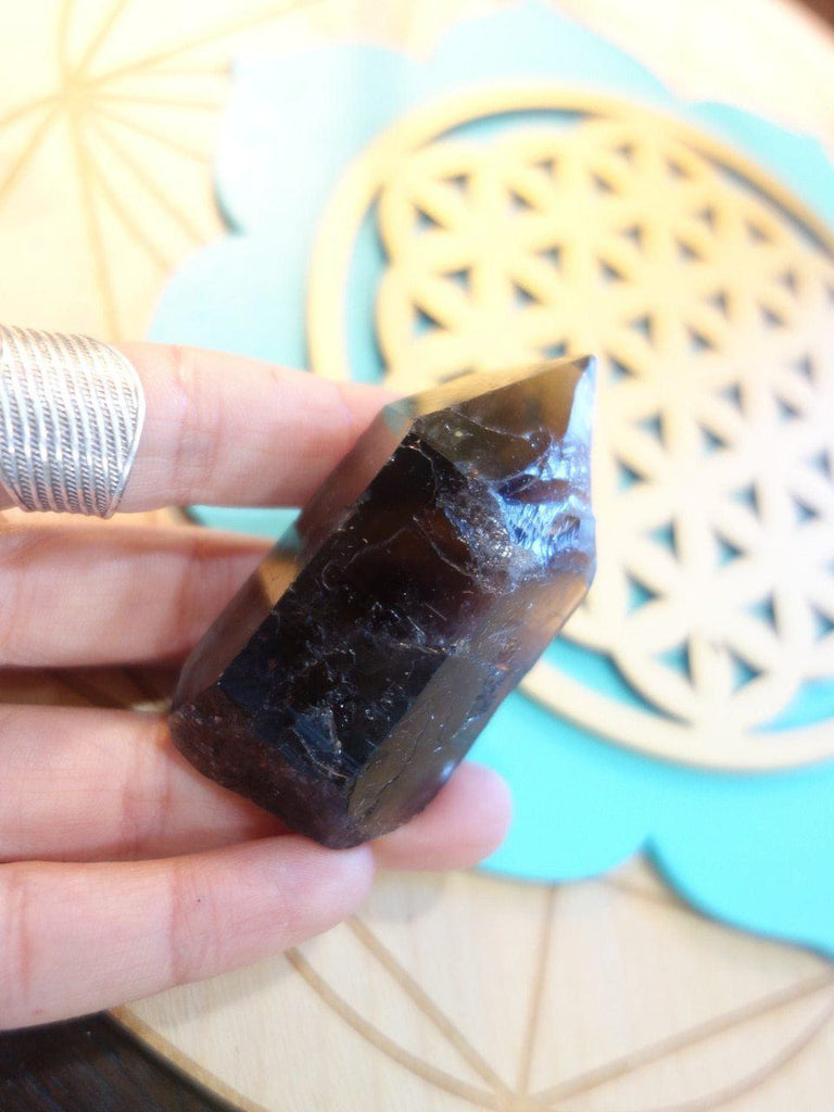 Deep Chocolate Brown Smoky Quartz Point - Earth Family Crystals