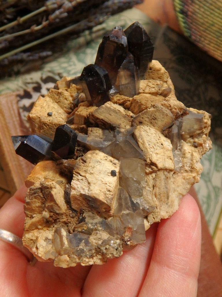 Natural Dark Chocolate Brown Smoky Quartz & Feldspar Specimen From Lake George, CO - Earth Family Crystals