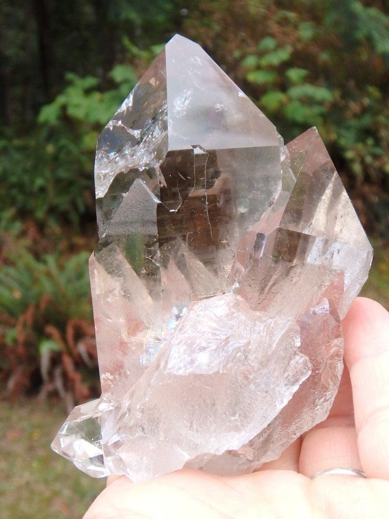 Phenomenal Brilliance~Large Tantric Twin with Baby Smoky Quartz Specimen From Brazil - Earth Family Crystals