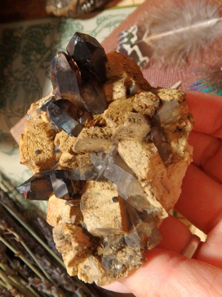 Natural Dark Chocolate Brown Smoky Quartz & Feldspar Specimen From Lake George, CO - Earth Family Crystals
