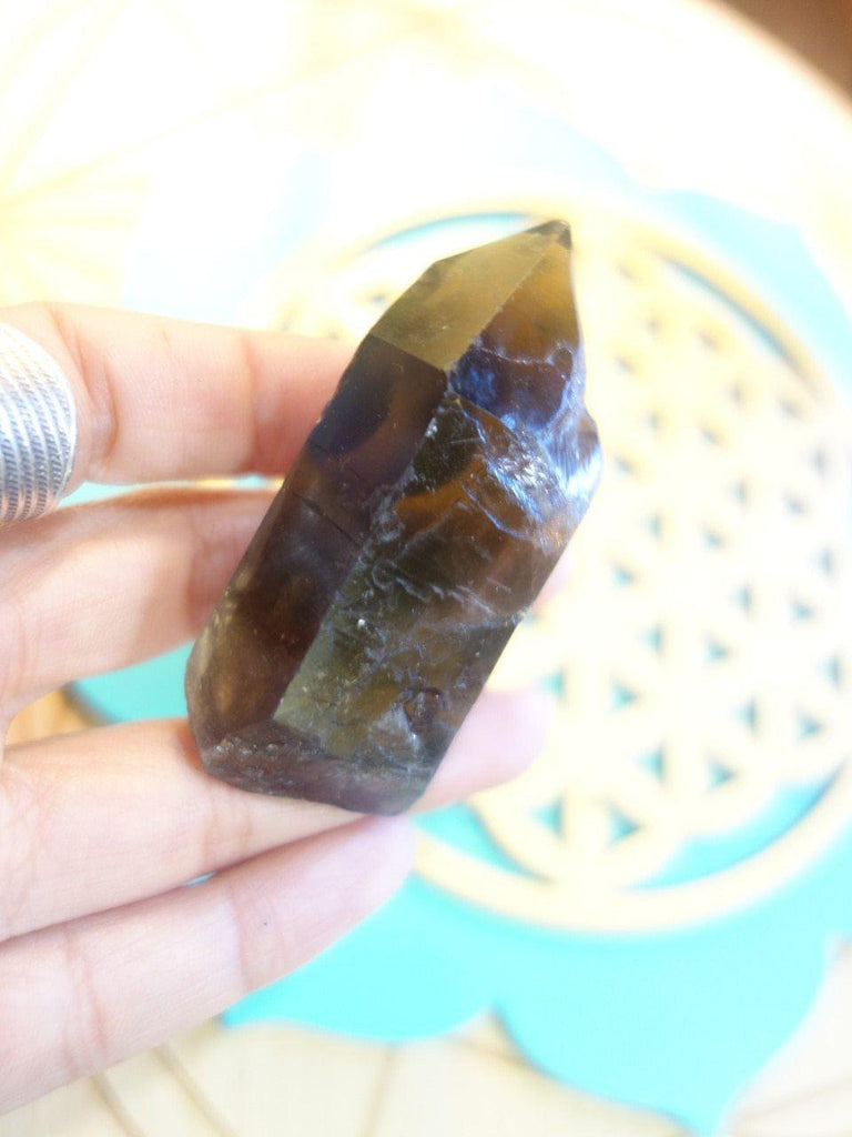 Deep Chocolate Brown Smoky Quartz Point - Earth Family Crystals